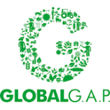 logo8